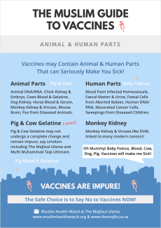 animal -and-human-parts-vaccine-infographic